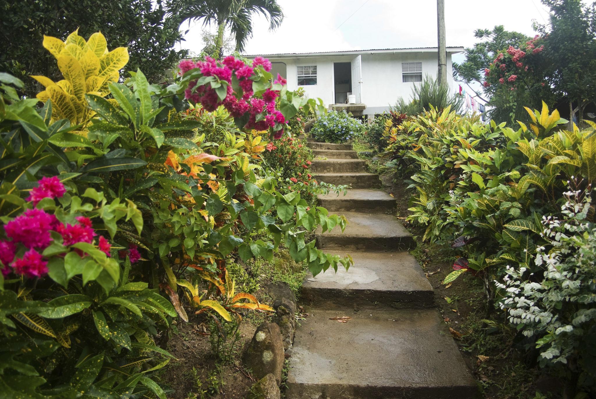 Simple Tropical Garden Layout Plan
